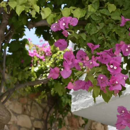 Patmos Cute Seafront Escape For 2 شقة